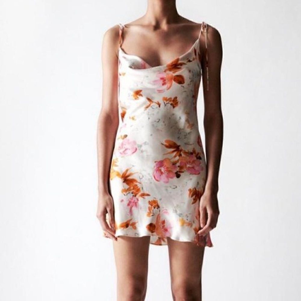 Zara Floral Print Dress